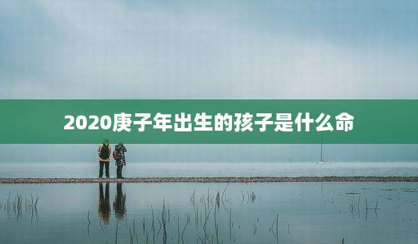 2020庚子年出生的孩子是什么命