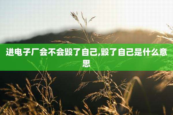 进电子厂会不会毁了自己,毁了自己是什么意思