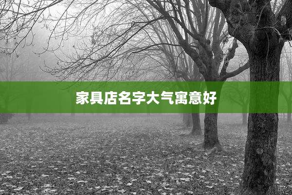 家具店名字大气寓意好