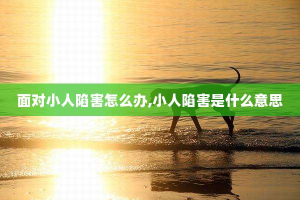 面对小人陷害怎么办,小人陷害是什么意思