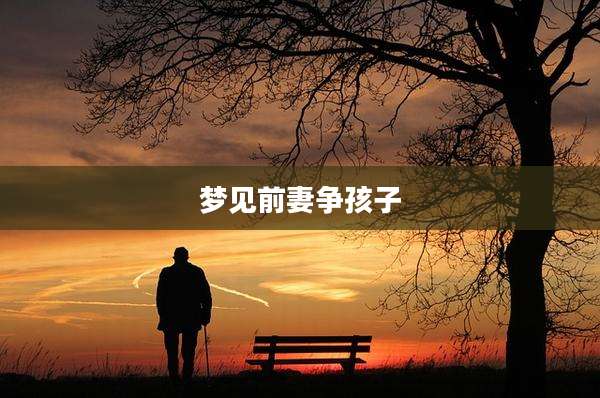 梦见前妻争孩子