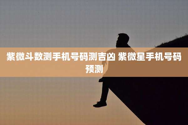 紫微斗数测手机号码测吉凶 紫微星手机号码预测