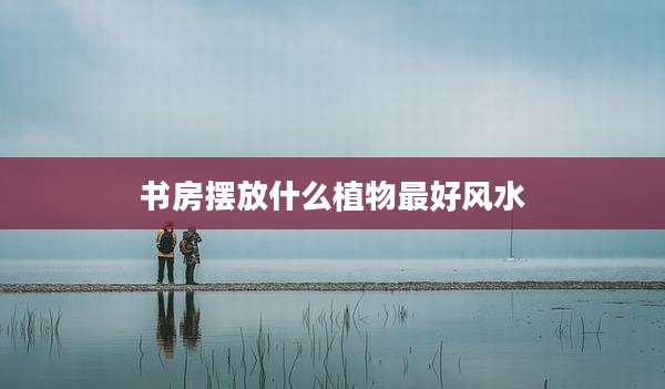 书房摆放什么植物最好风水