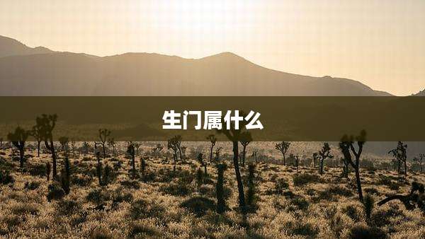 生门属什么
