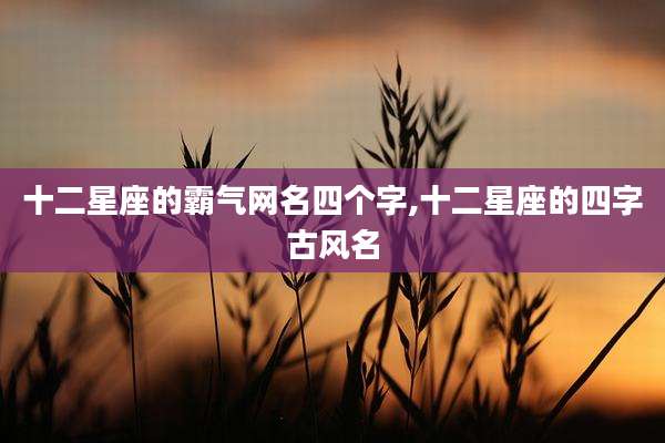 十二星座的霸气网名四个字,十二星座的四字古风名