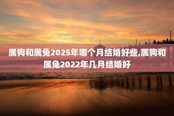 属狗和属兔2025年哪个月结婚好些,属狗和属兔2022年几月结婚好