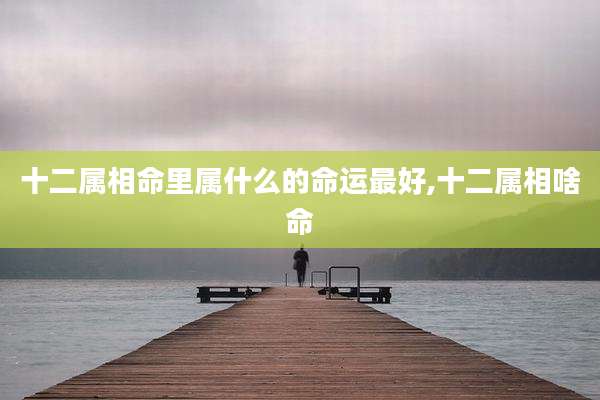 十二属相命里属什么的命运最好,十二属相啥命