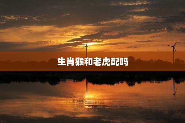 生肖猴和老虎配吗