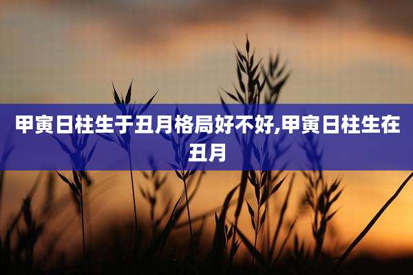 甲寅日柱生于丑月格局好不好,甲寅日柱生在丑月