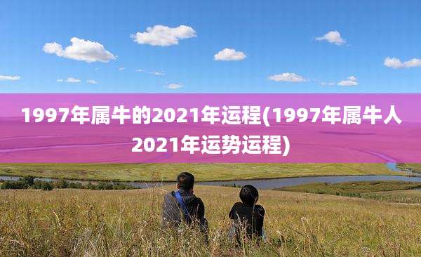 1997年属牛的2021年运程(1997年属牛人2021年运势运程)