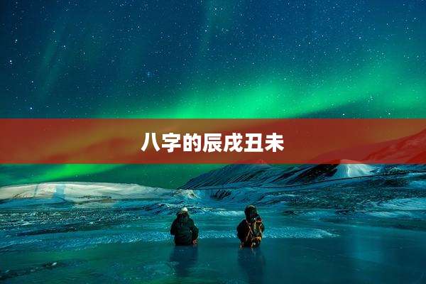 八字的辰戌丑未