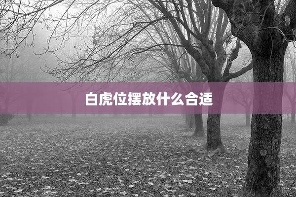 白虎位摆放什么合适