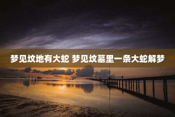梦见坟地有大蛇 梦见坟墓里一条大蛇解梦