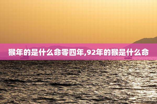 猴年的是什么命零四年,92年的猴是什么命