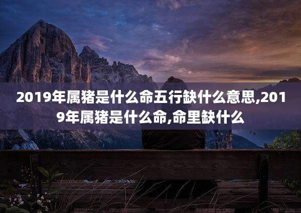 2019年属猪是什么命五行缺什么意思,2019年属猪是什么命,命里缺什么