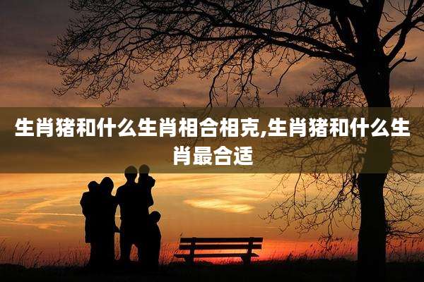 生肖猪和什么生肖相合相克,生肖猪和什么生肖最合适