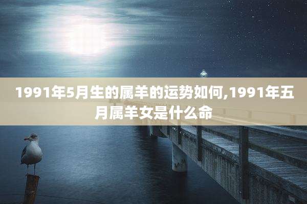 1991年5月生的属羊的运势如何,1991年五月属羊女是什么命