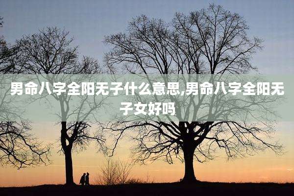 男命八字全阳无子什么意思,男命八字全阳无子女好吗