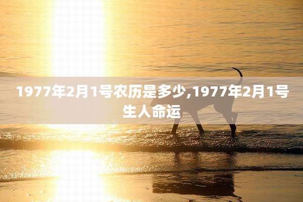 1977年2月1号农历是多少,1977年2月1号生人命运