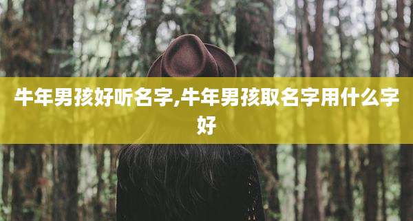 牛年男孩好听名字,牛年男孩取名字用什么字好