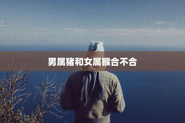 男属猪和女属猴合不合