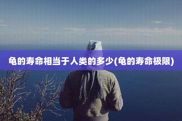 龟的寿命相当于人类的多少(龟的寿命极限)