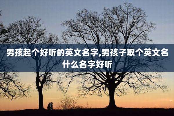 男孩起个好听的英文名字,男孩子取个英文名什么名字好听