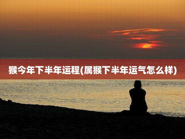 猴今年下半年运程(属猴下半年运气怎么样)