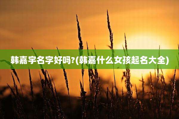 韩嘉宇名字好吗?(韩嘉什么女孩起名大全)
