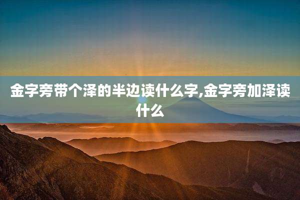 金字旁带个泽的半边读什么字,金字旁加泽读什么