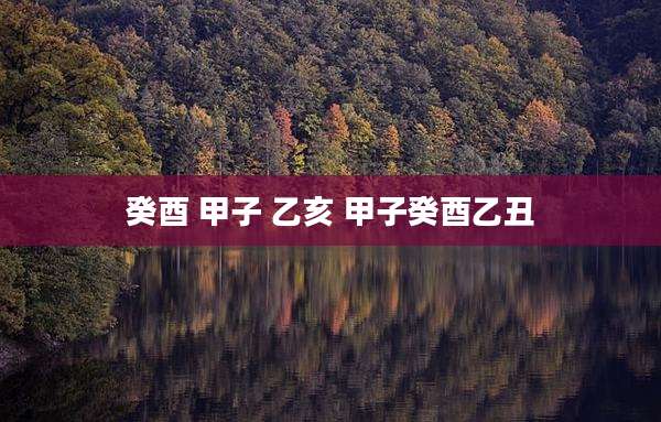 癸酉 甲子 乙亥 甲子癸酉乙丑