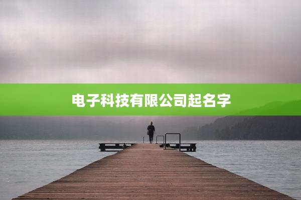 电子科技有限公司起名字