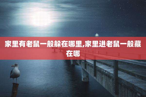 家里有老鼠一般躲在哪里,家里进老鼠一般藏在哪