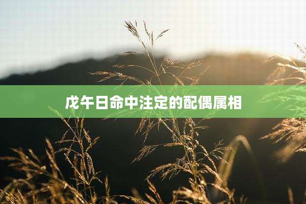 戊午日命中注定的配偶属相