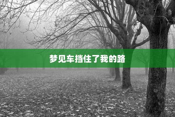 梦见车挡住了我的路