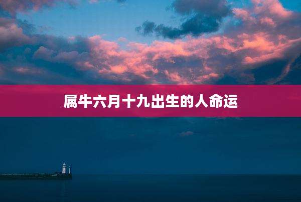 属牛六月十九出生的人命运