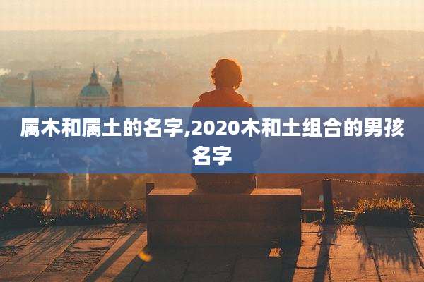属木和属土的名字,2020木和土组合的男孩名字
