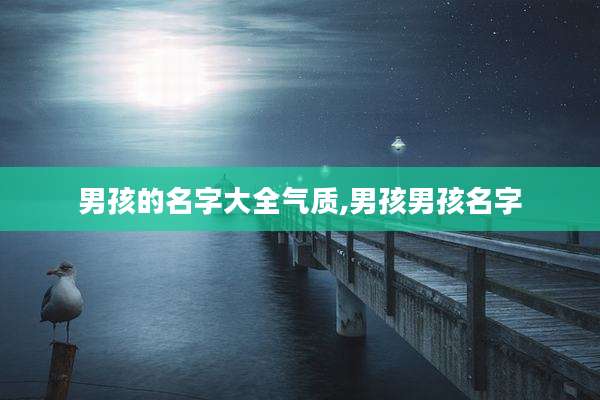 男孩的名字大全气质,男孩男孩名字