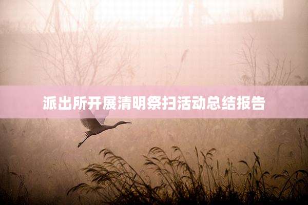 派出所开展清明祭扫活动总结报告