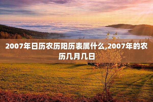 2007年日历农历阳历表属什么,2007年的农历几月几日