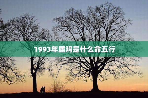 1993年属鸡是什么命五行