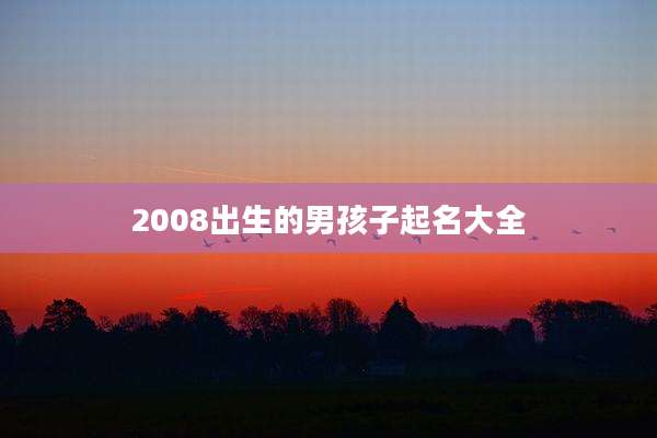 2008出生的男孩子起名大全