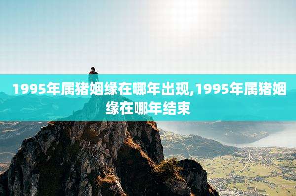 1995年属猪姻缘在哪年出现,1995年属猪姻缘在哪年结束