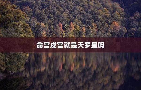 命宫戌宫就是天罗星吗