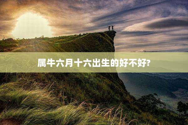 属牛六月十六出生的好不好?