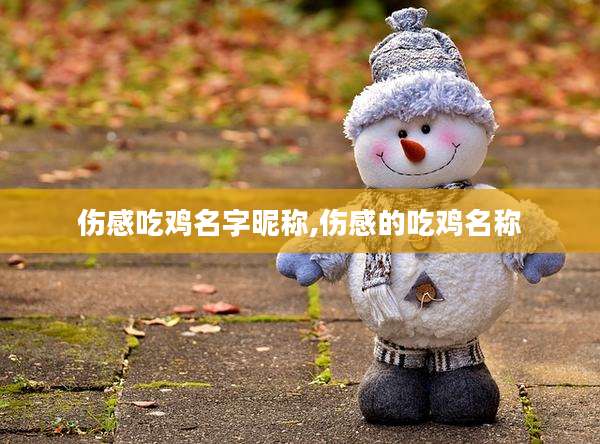 伤感吃鸡名字昵称,伤感的吃鸡名称