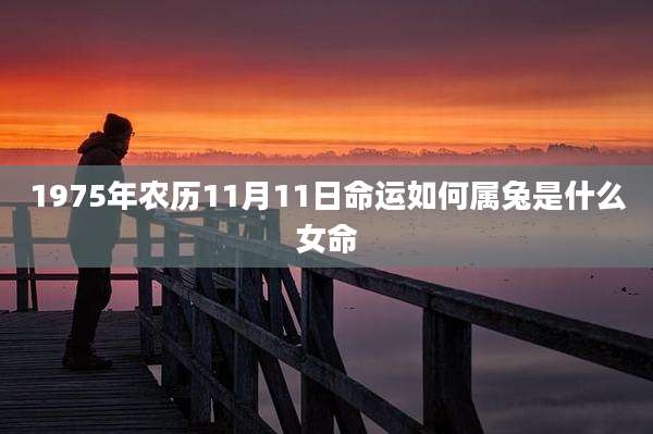 1975年农历11月11日命运如何属兔是什么女命