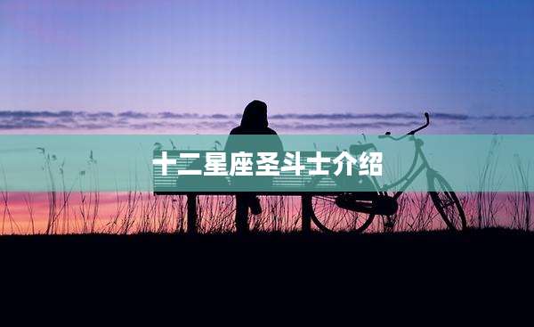 十二星座圣斗士介绍