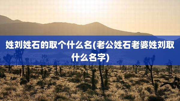 姓刘姓石的取个什么名(老公姓石老婆姓刘取什么名字)