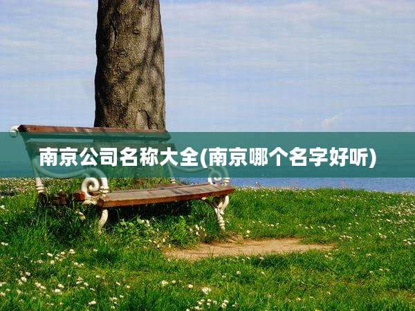 南京公司名称大全(南京哪个名字好听)
